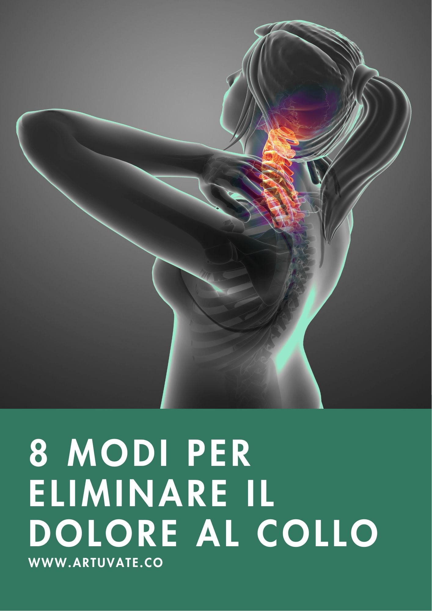 Guida + Esercizi per il Collo (Download Immediato)